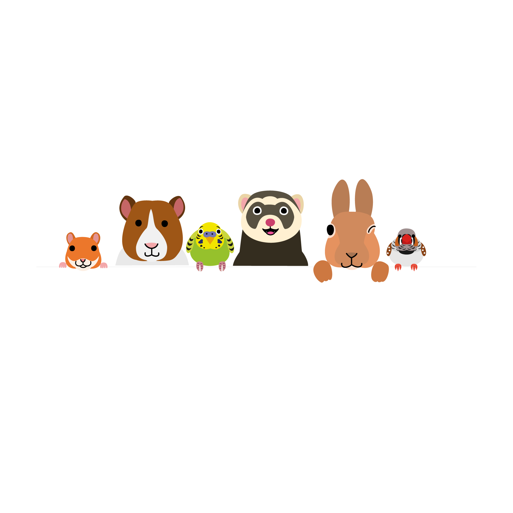 Mon petit nac